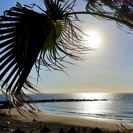 Parque Royal Torviscas Playa Wi-fi 600mb Costa Adeje (Tenerife)
